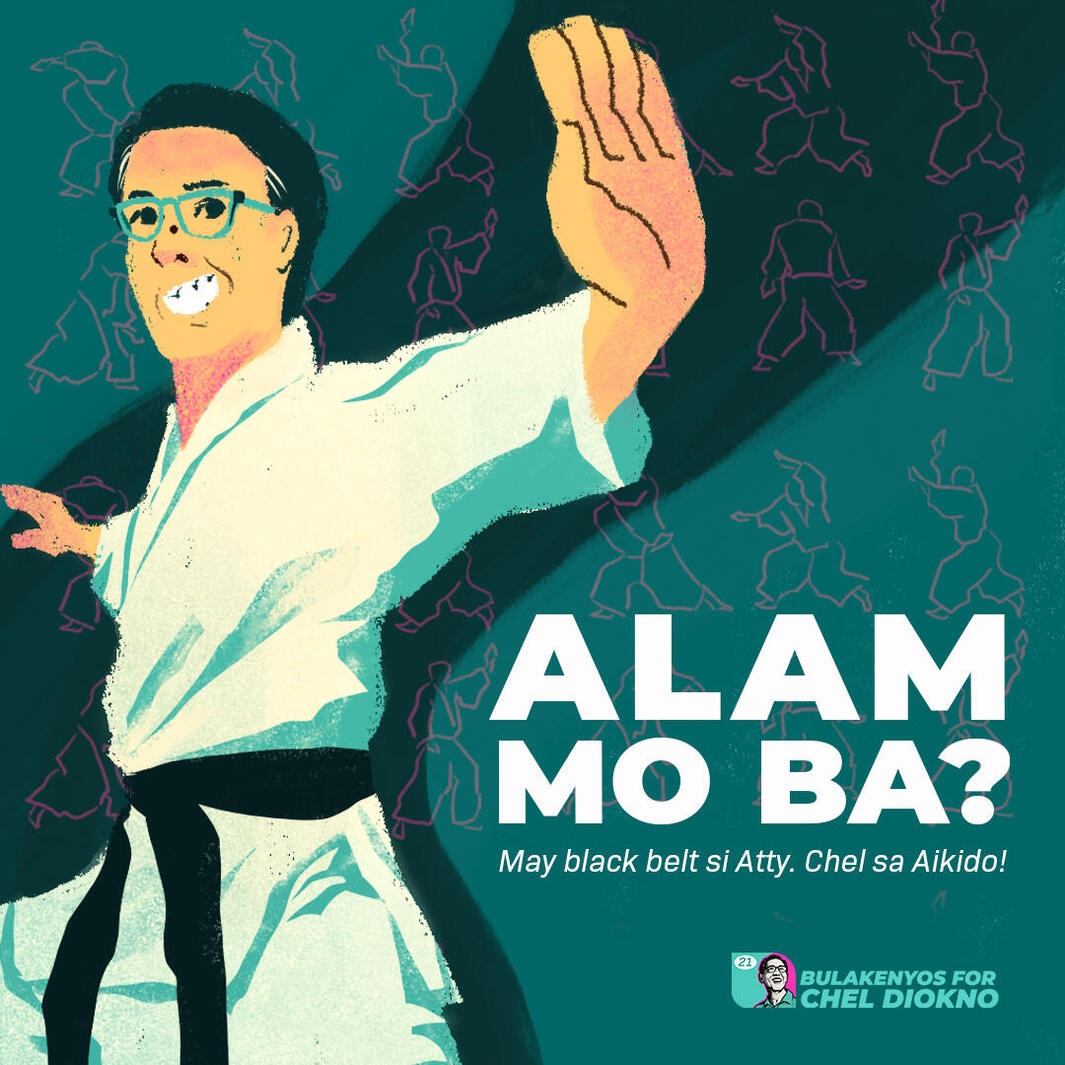 Chel Diokno 2022 campaign