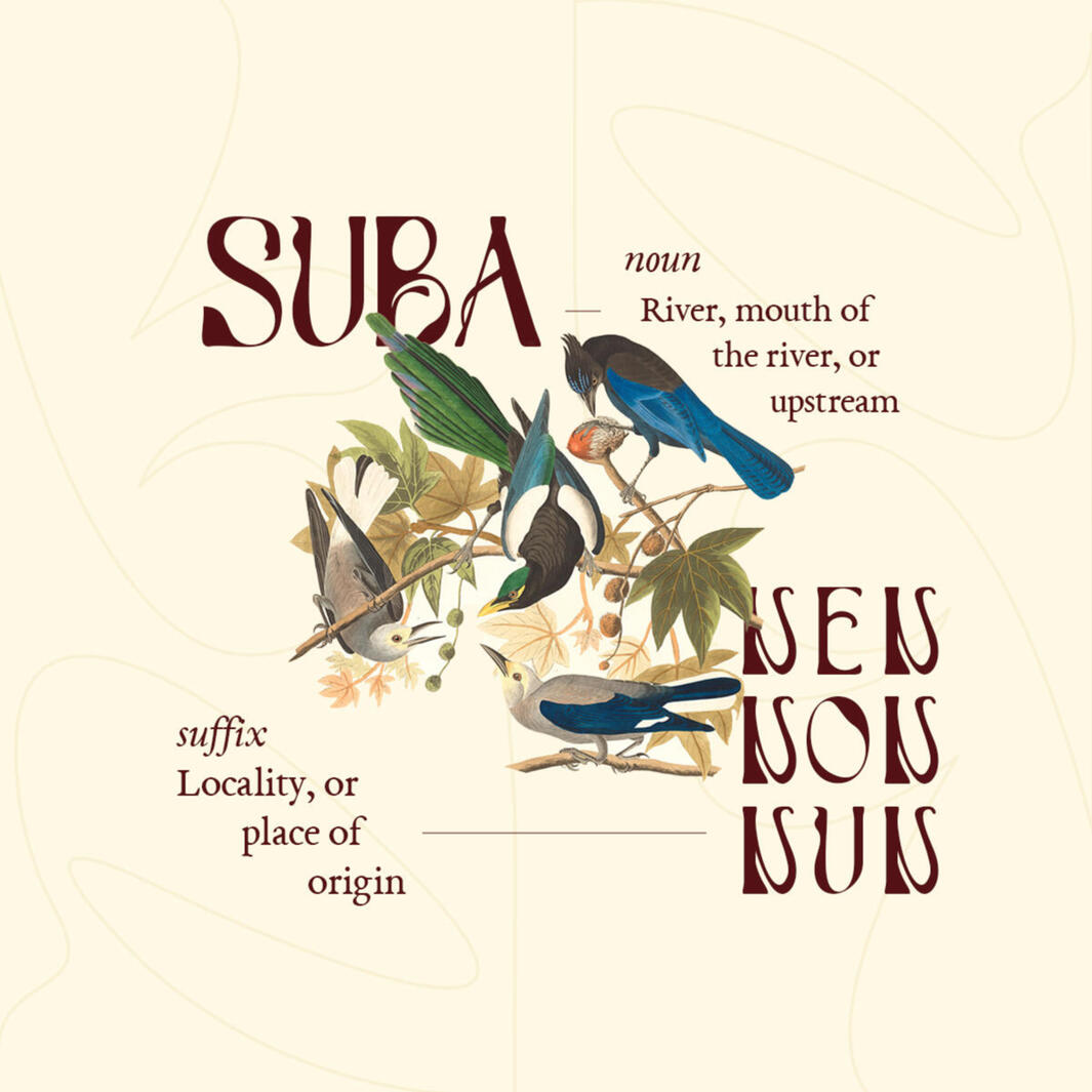 Suba Display Font